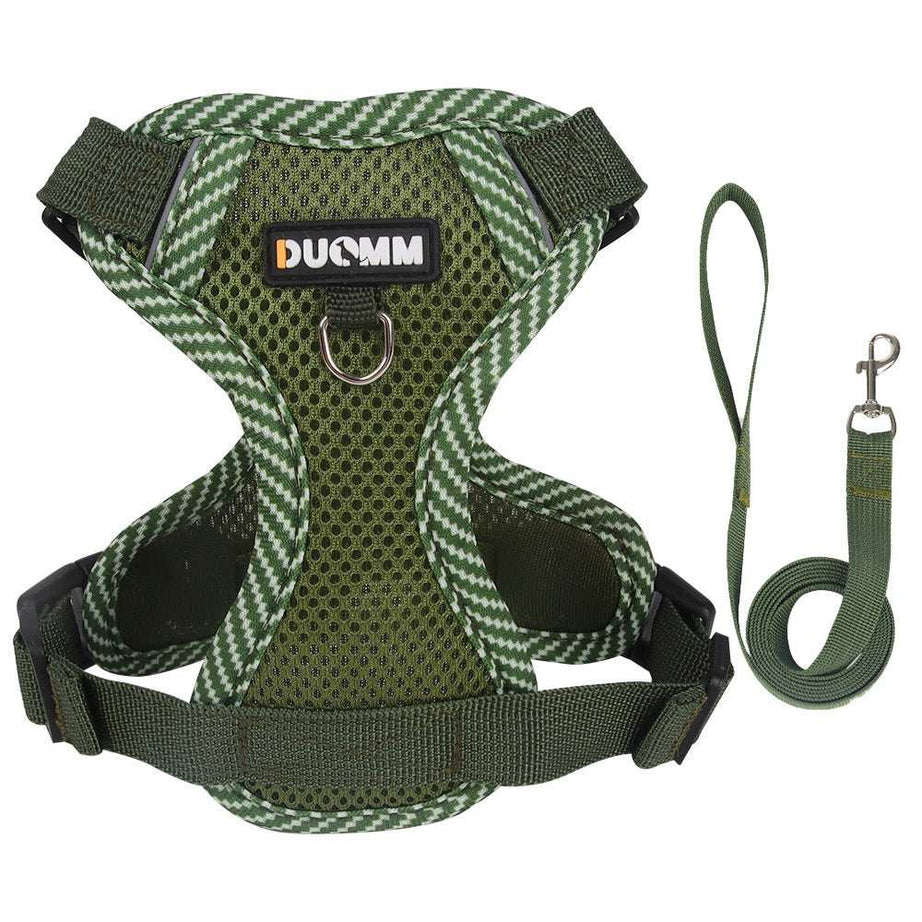 Fully Adjustable Cat Vest Pet Harness with Matching Leash