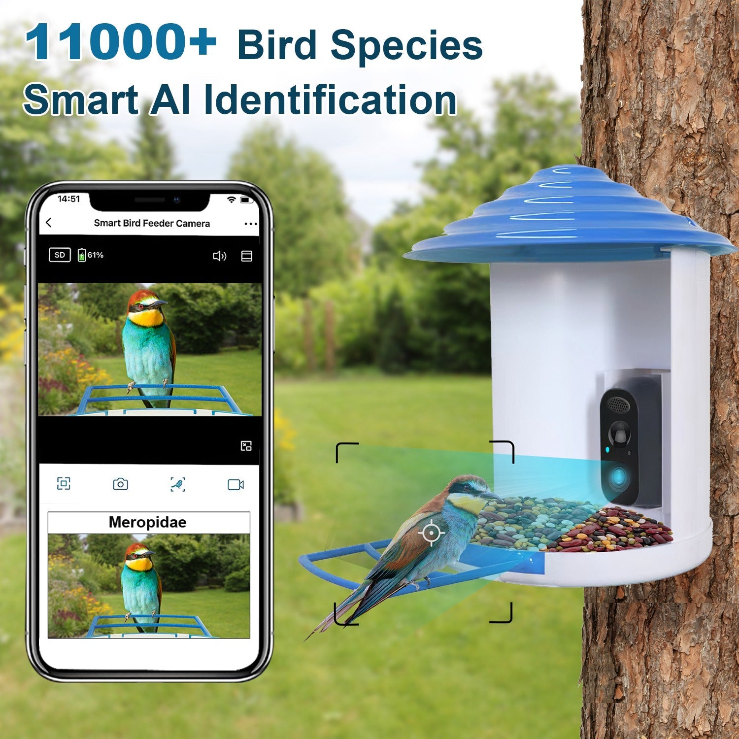 BirdCam Pro Feeder - Smart Solar HD Camera with AI ID