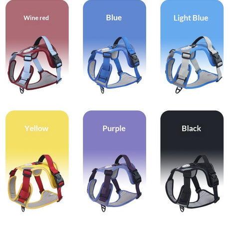 Adjustable Dog Harness - Large Chest Style with Leash