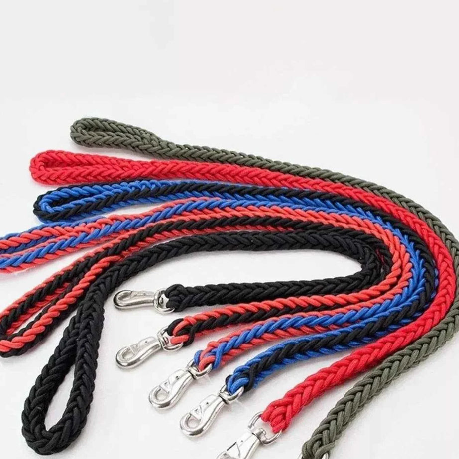 Dog Braided Rope Leash Set - Metal Clasp 4 Colors 3 Sizes