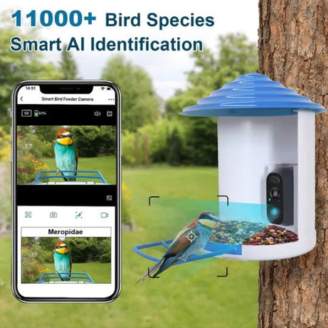 BirdWatch AI Feeder - Smart Camera with Solar Power & ID