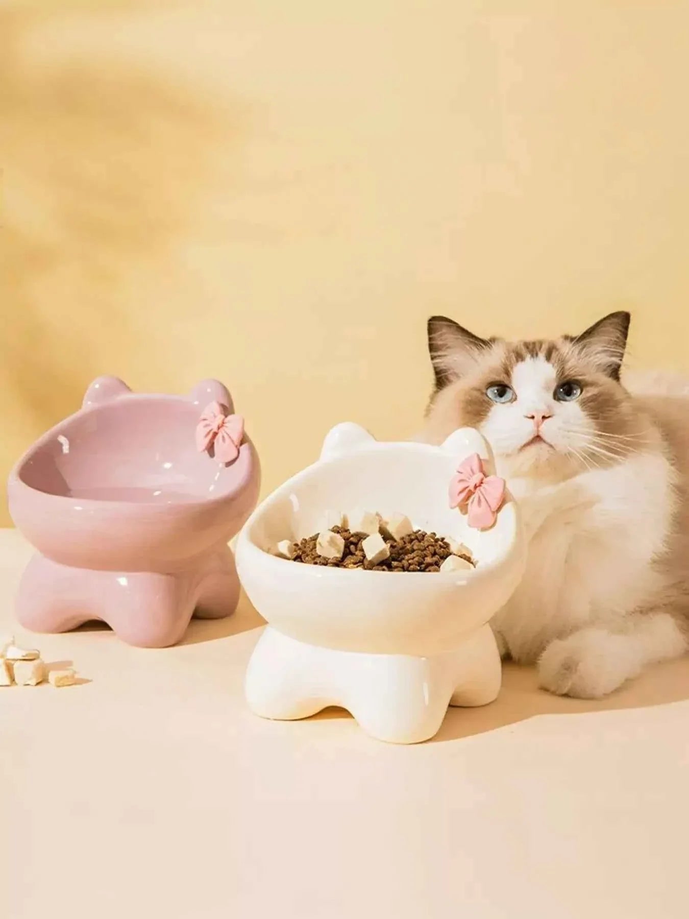 Ceramic Pet Bowl - Elevated with Bowknot