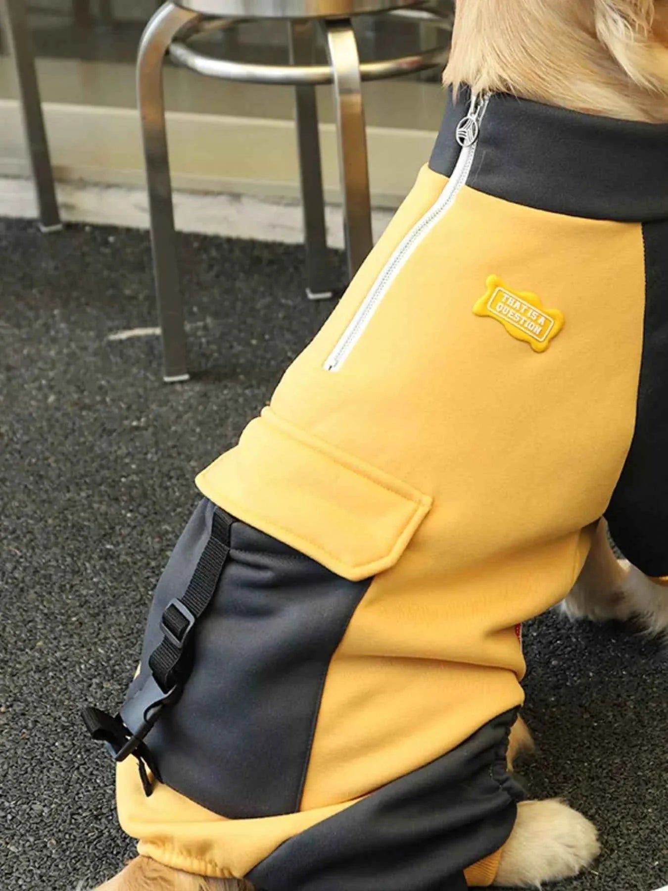Dog Jacket Two-Tone - Button Closure Collar Coat