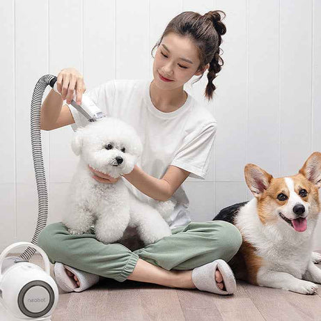 Quiet Pet Grooming Vacuum for Nervous Dogs - 9000Pa Power