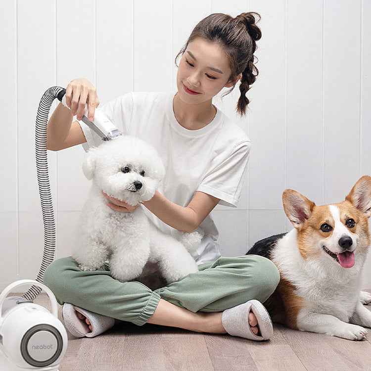 Quiet Pet Grooming Vacuum for Nervous Dogs - 9000Pa Power