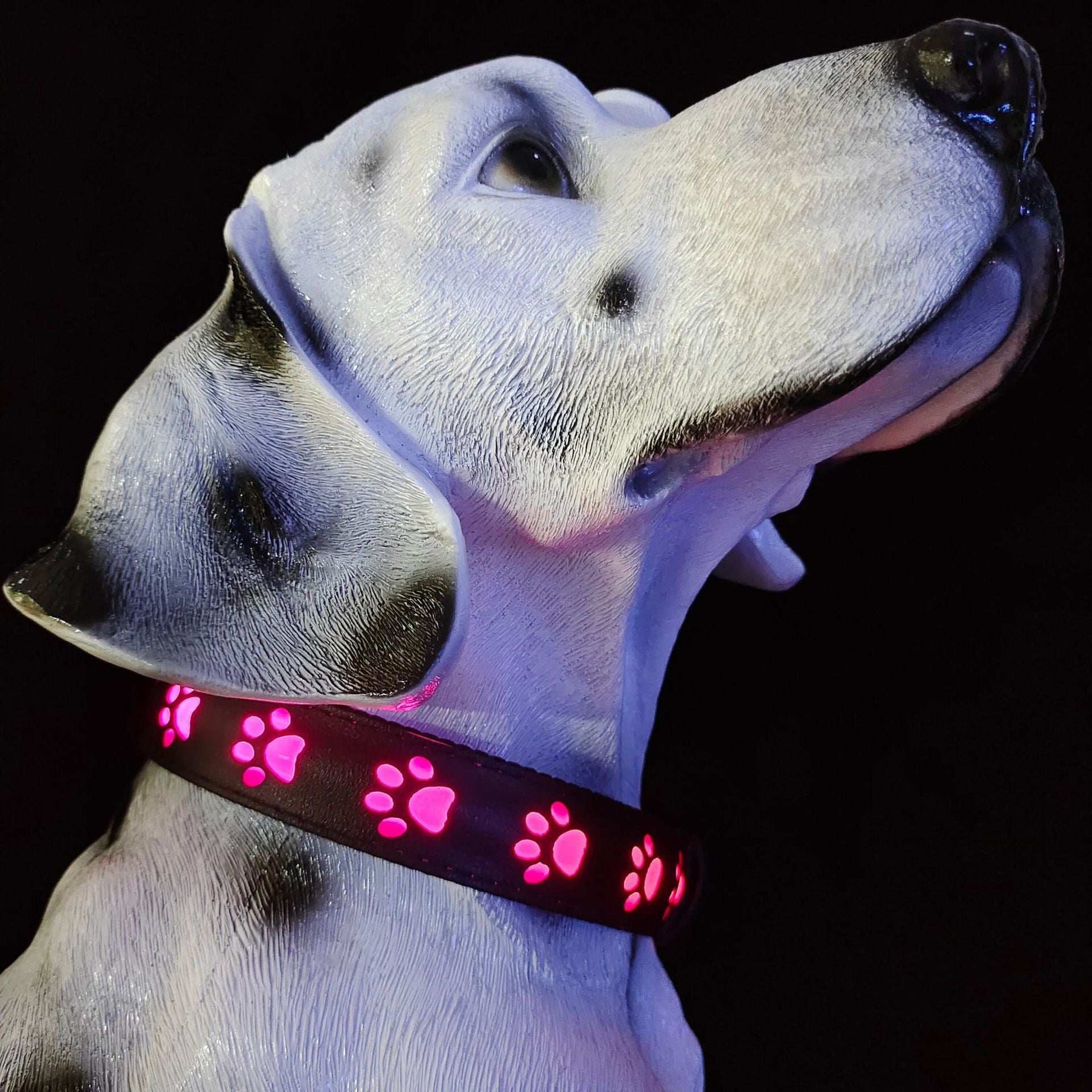 LED Dog Collar - 7 Color Luminous Paw Print USB Rechargeable