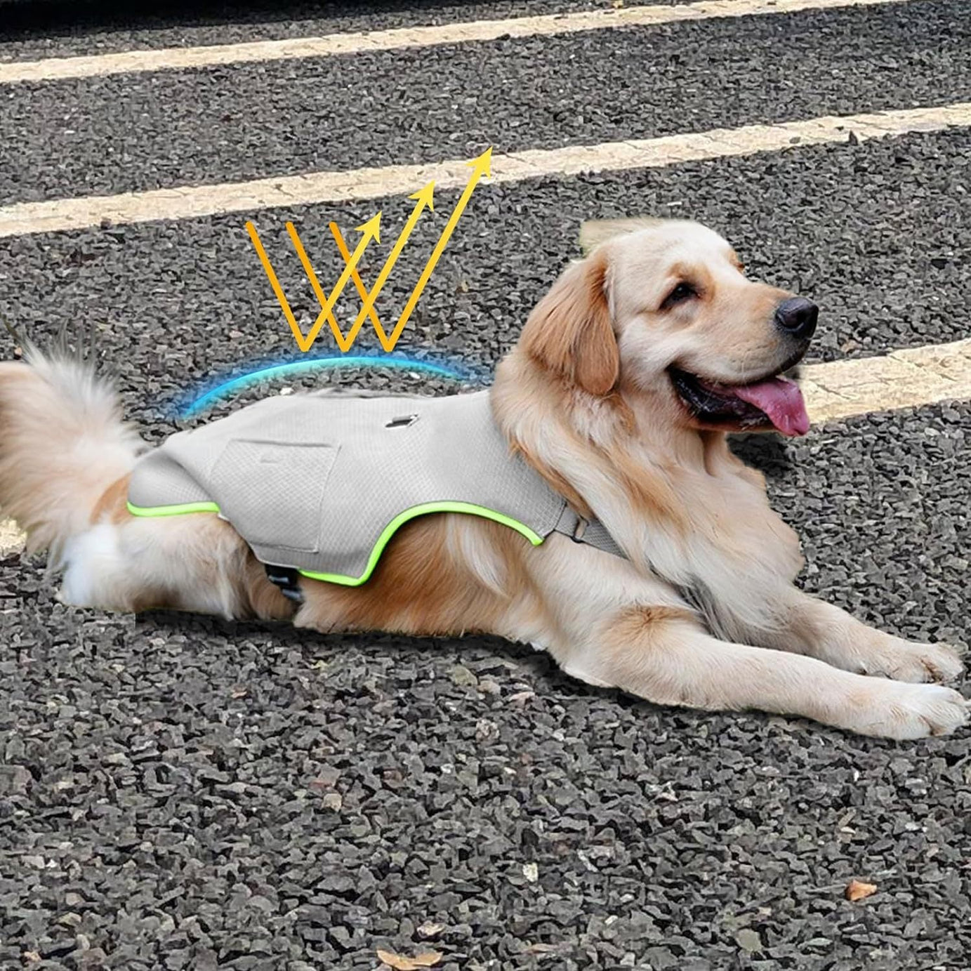 Hot Weather Dog Cooling Vest - Ice Packs and Leash Ring