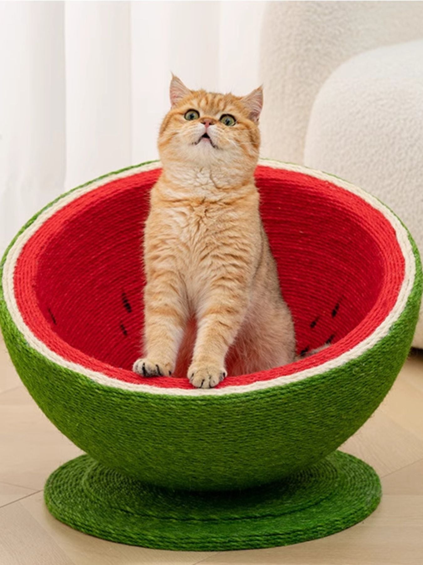 Cat Scratching Post Nest - Purr-fect Watermelon Shaped