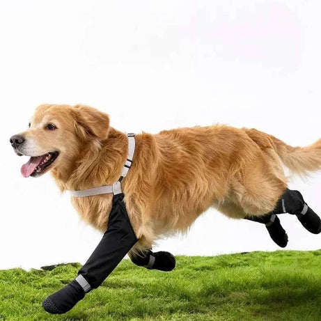 Dog Boots Waterproof Protective - Adjustable Paw Shoes