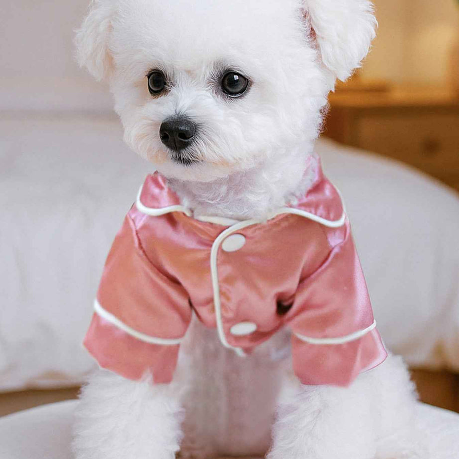 Satin Pet Pajamas with Contrast Piping