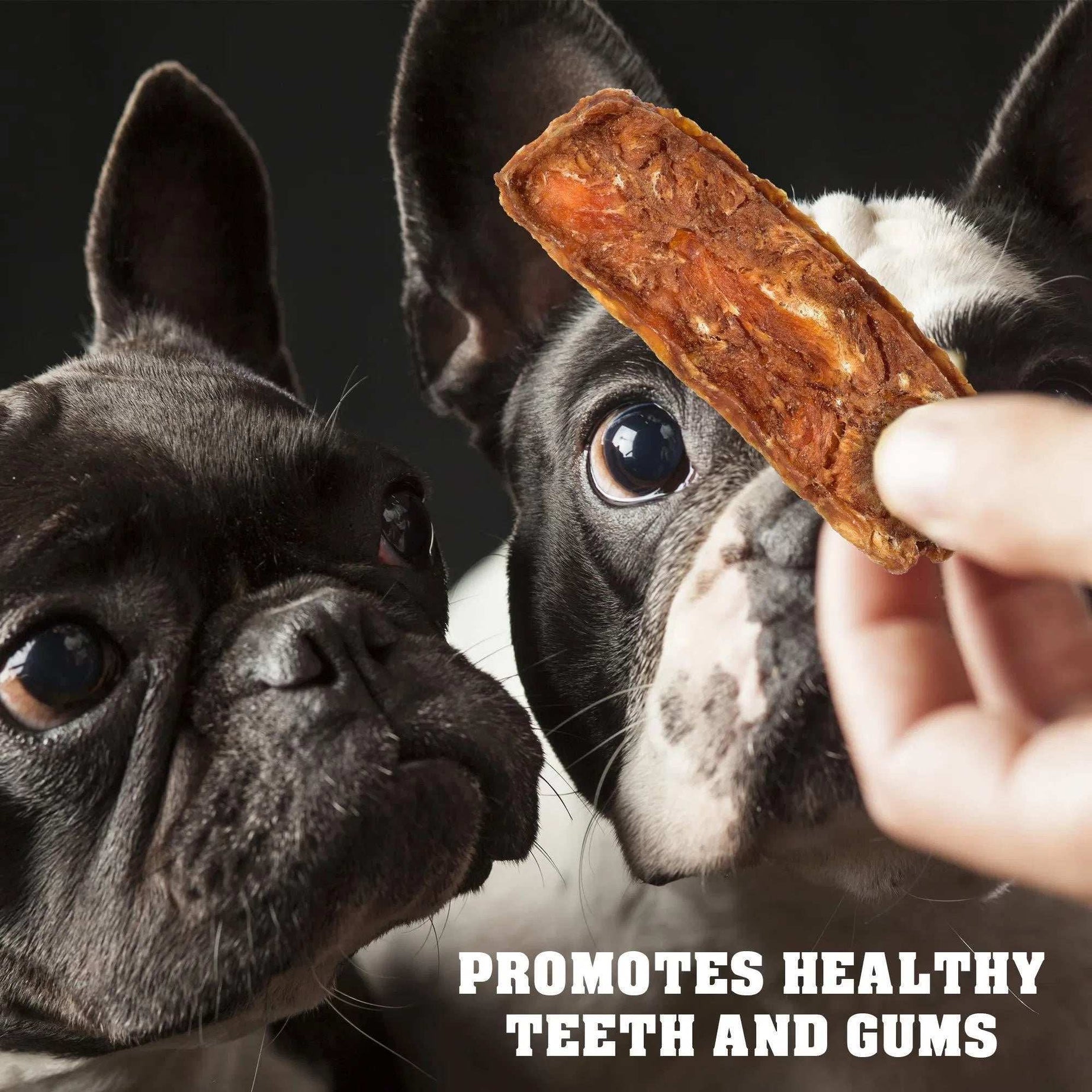Chicken Jerky Dog Treats 1.5 Lb Human Grade Pet Snacks Grain Free Organic Meat All Natural High Protein Dried Strips Best Chews For Training Small & Large Dogs
