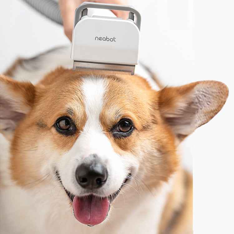 Quiet Pet Grooming Vacuum for Nervous Dogs - 9000Pa Power