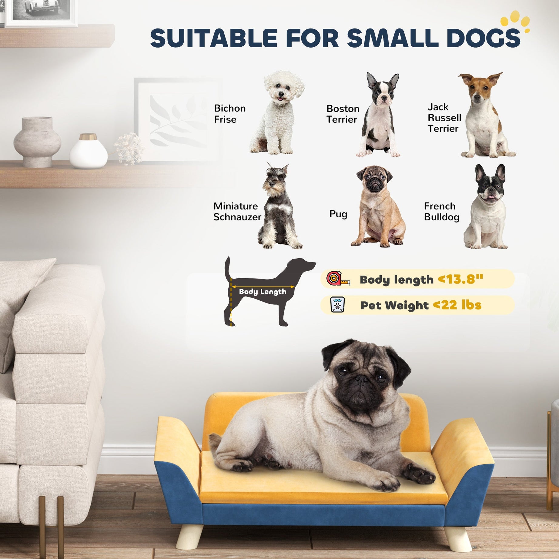 Dog Sofa Bed for Small Dogs - Washable & Elevated Couch