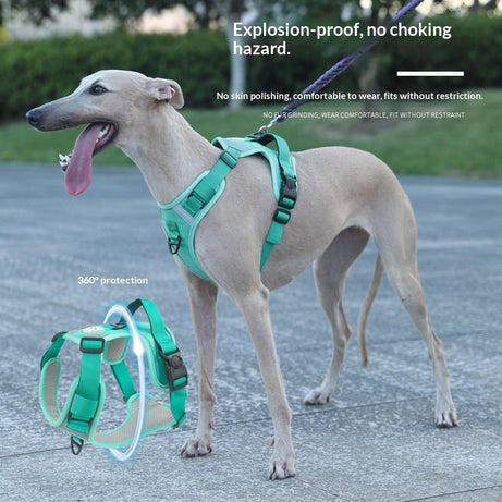 Adjustable Dog Harness - Large Chest Style with Leash