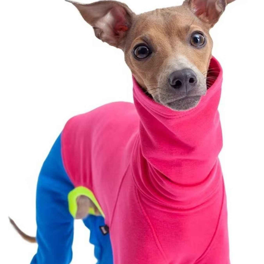 Dog Color Block Jumpsuit - Turtleneck Four-Leg Onesie Extended Sizes
