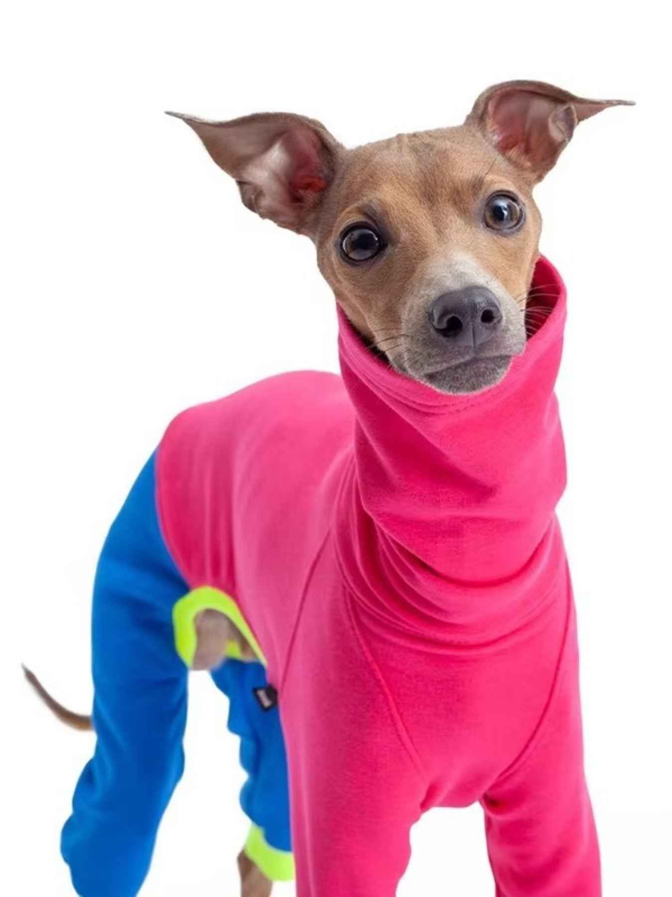 Dog Color Block Jumpsuit - Turtleneck Four-Leg Onesie Extended Sizes