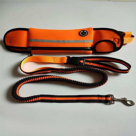 Waterproof Reflective Sports Running Pet Waist Bag with Traction Rope Leash