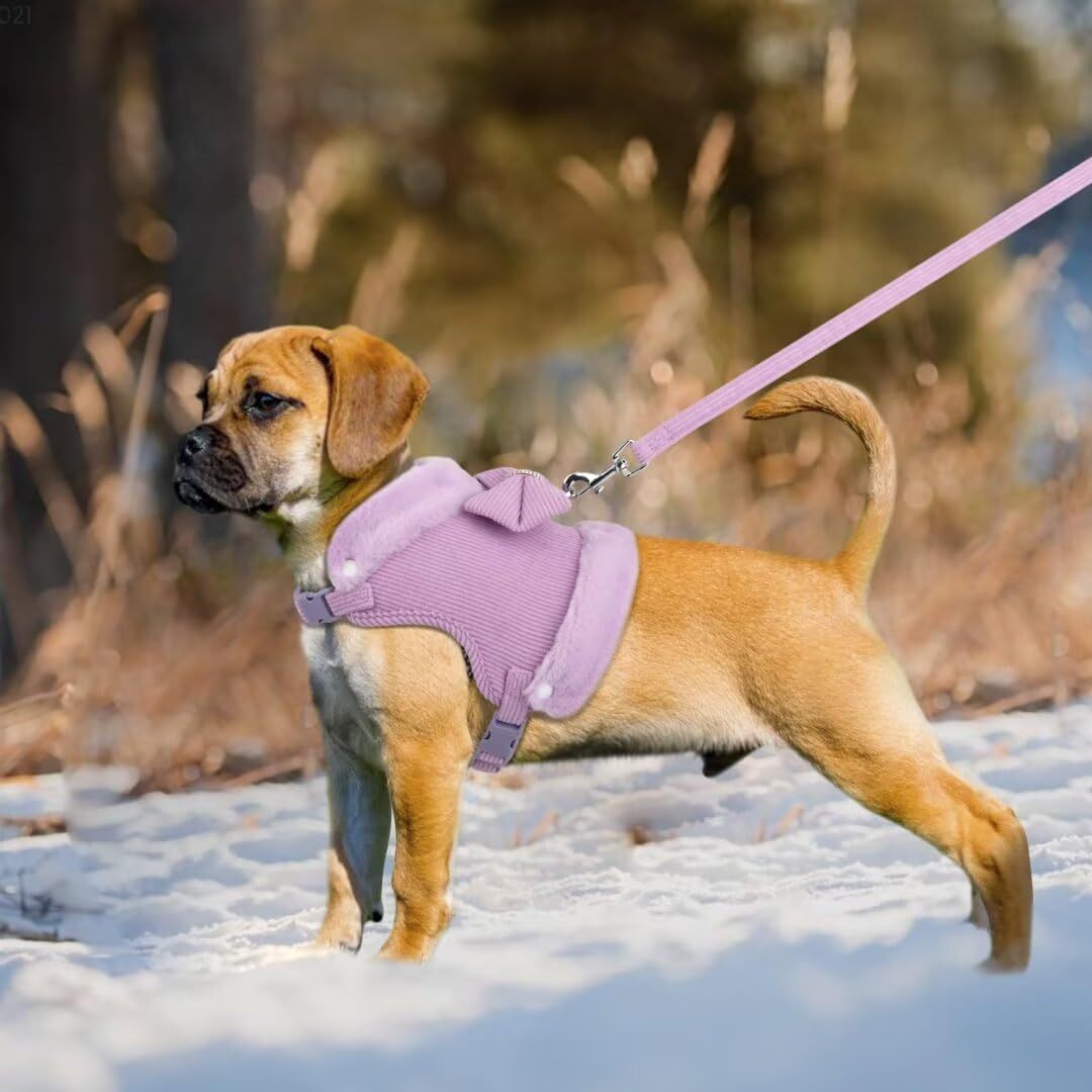 Bow Tie Puppy Harness - Warm Padded Dog Leash Set