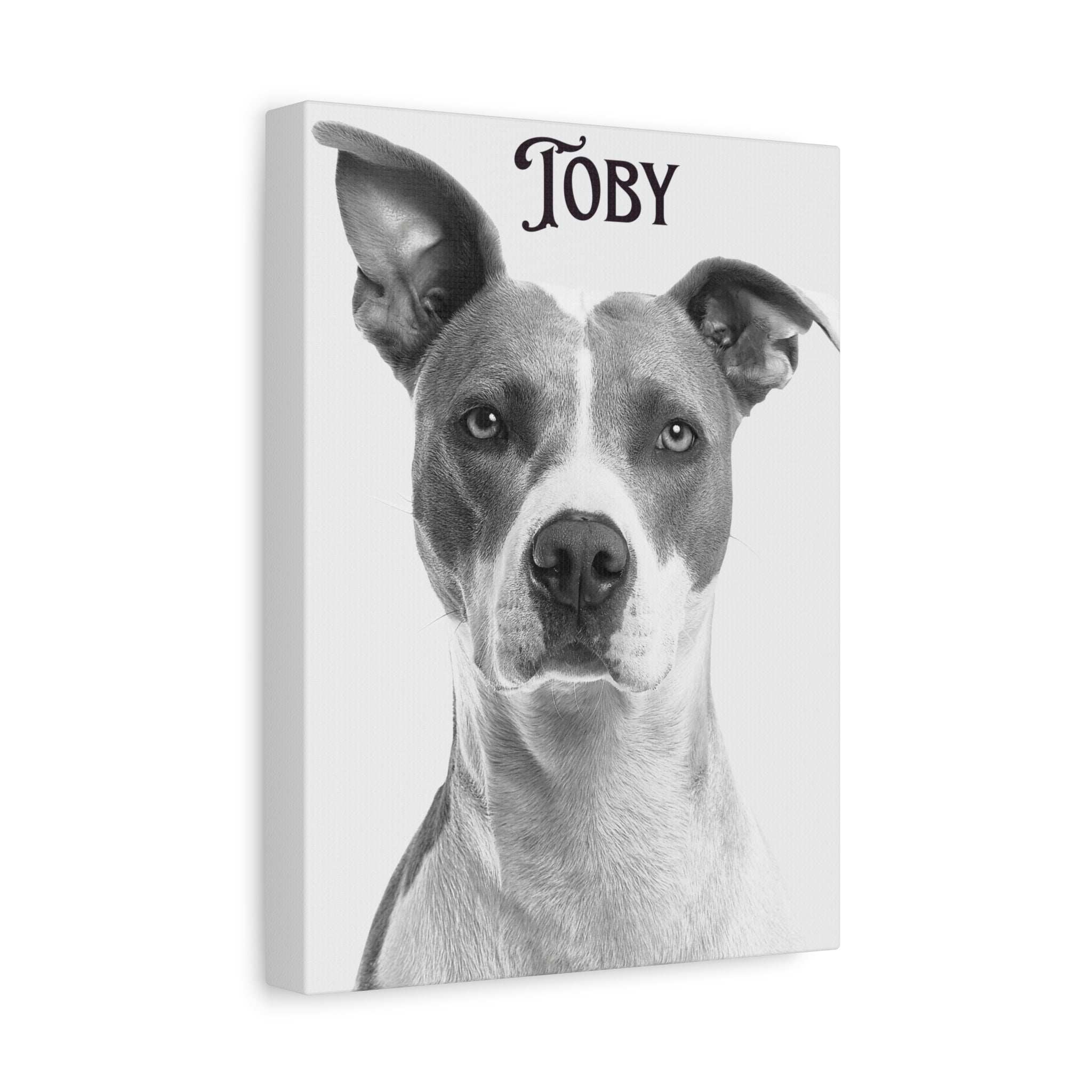 Custom Portrait Photo Canvas Print - Stretched Wall Art for Pet Lovers