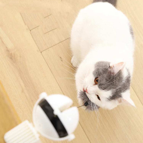 Smart Electric Cat Toy - Automatic Lifting Puzzle Ball