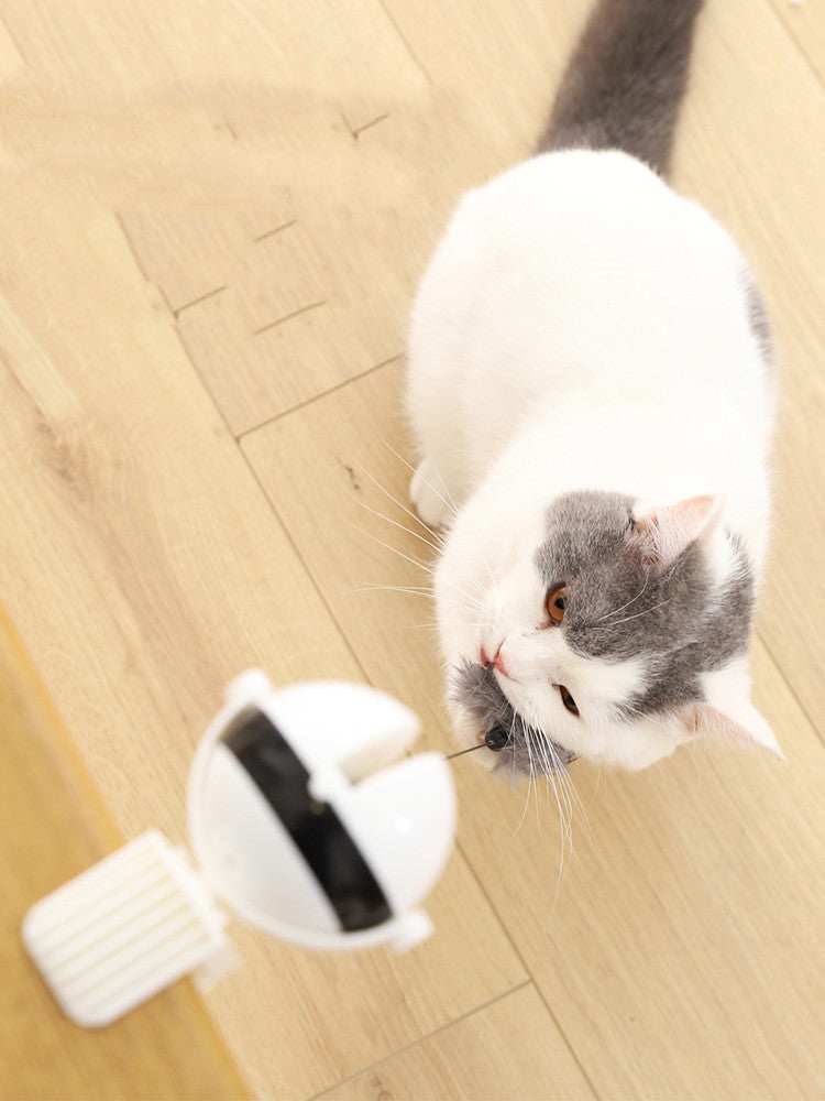 Smart Electric Cat Toy - Automatic Lifting Puzzle Ball