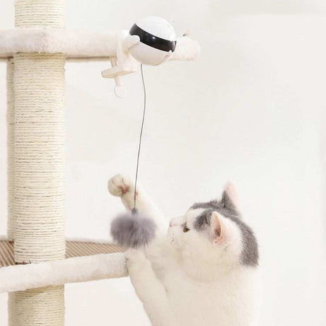 Smart Electric Cat Toy - Automatic Lifting Puzzle Ball
