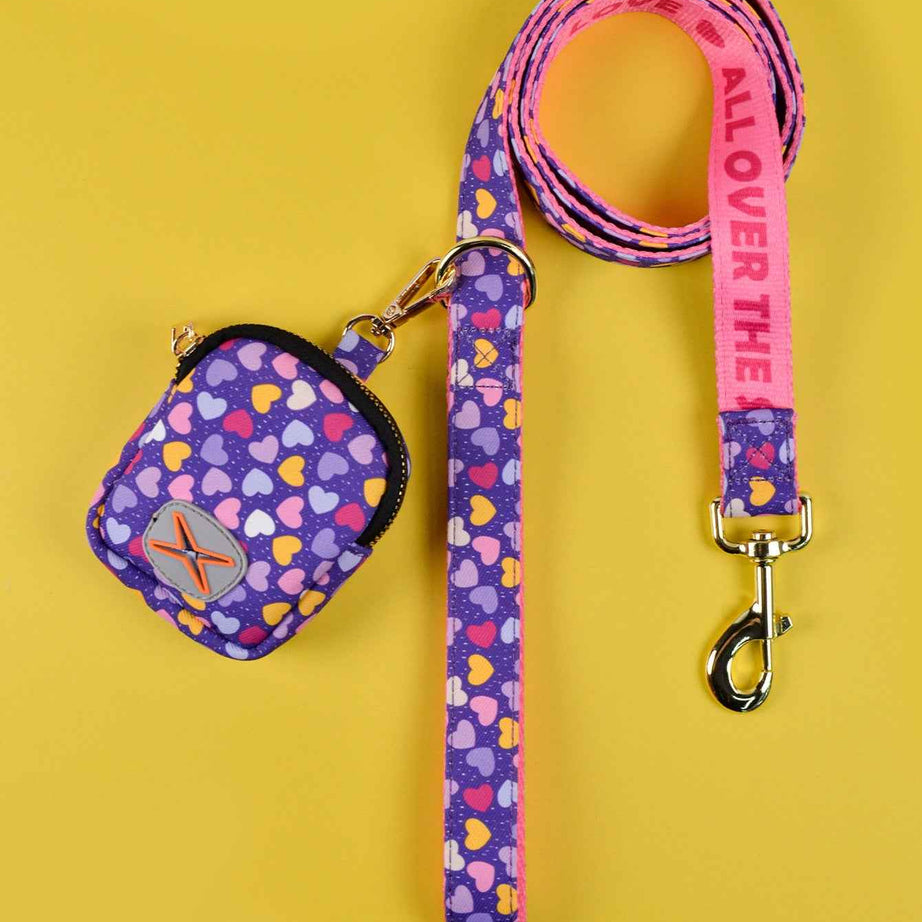 Dog Leash with Poop Bag Holder - Matching Set