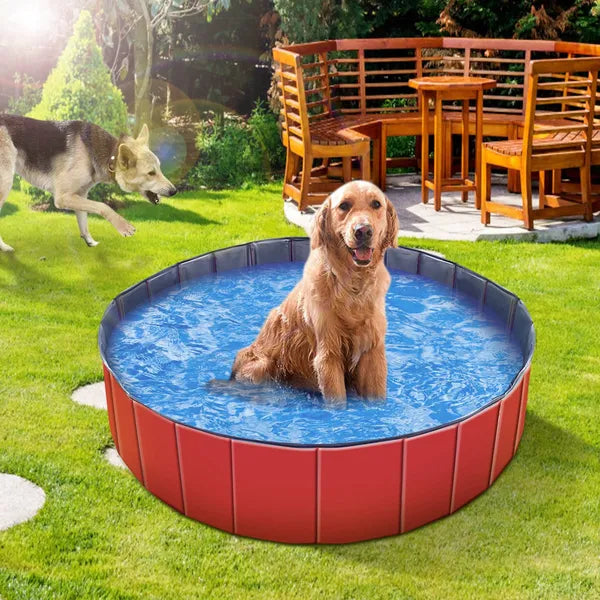 Foldable Dog Pool - Pet Swimming & Bathing Tub