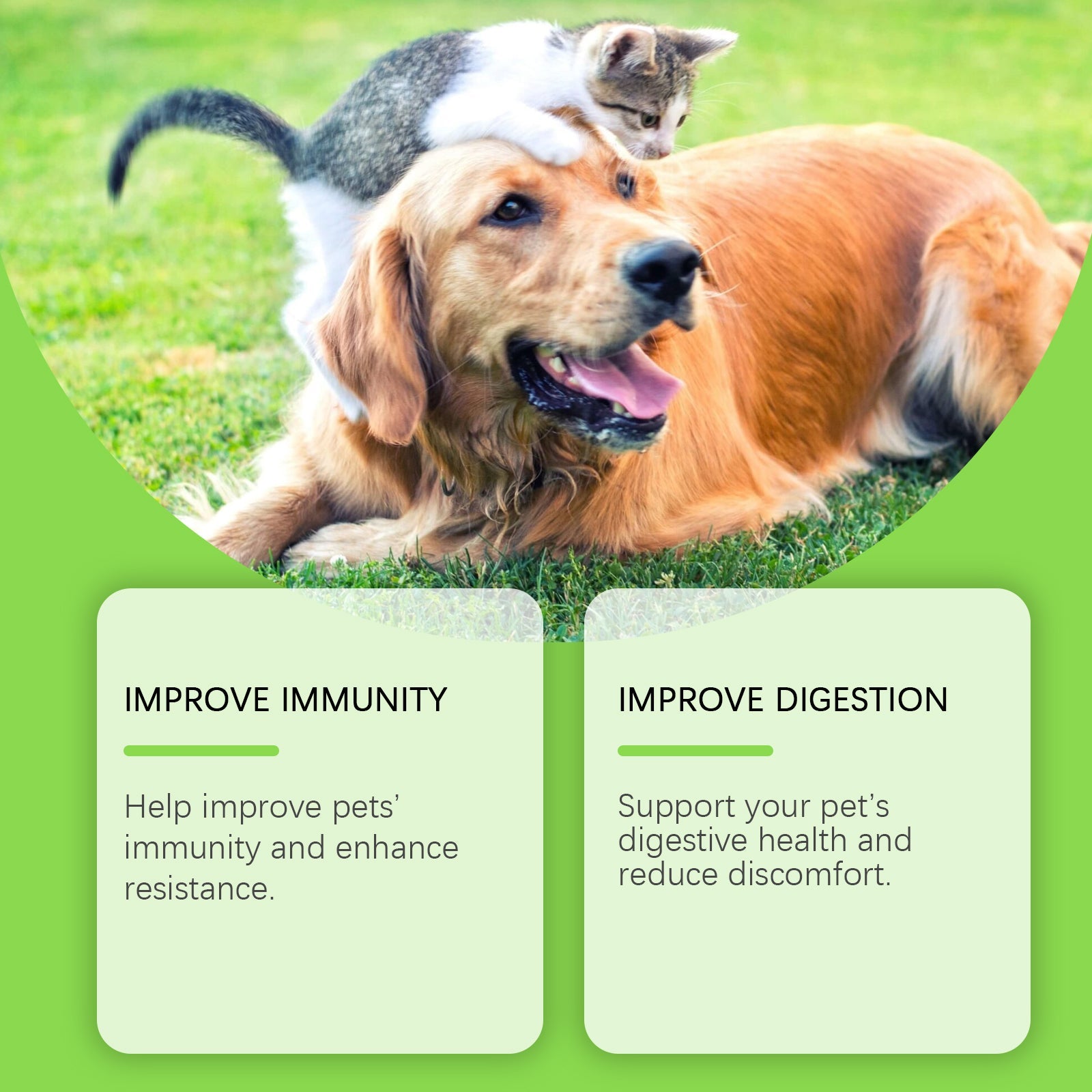 Pet Probiotic Vitamin Tablets 80 Count - Gut Health Dogs and Cats
