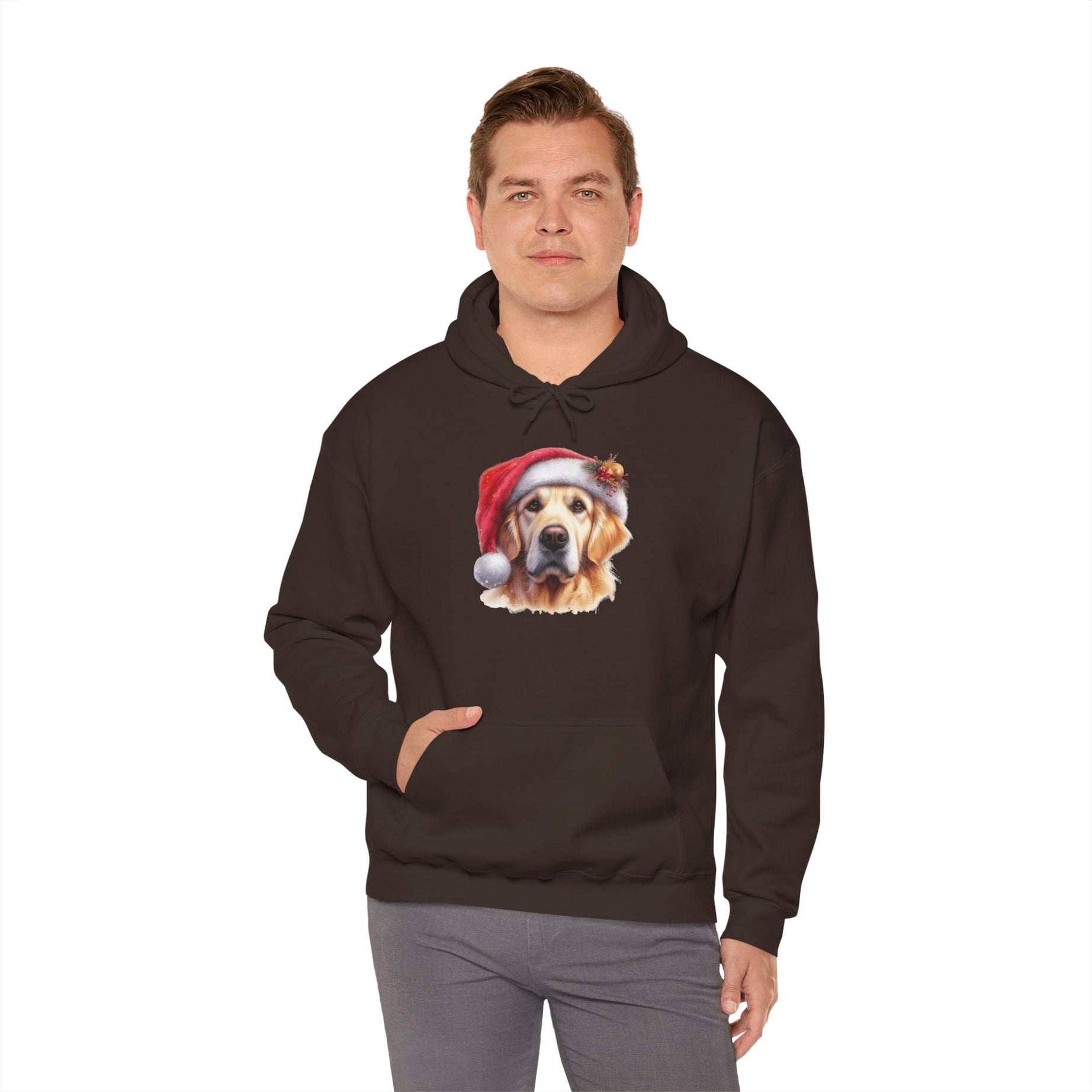 Christmas Hoodie - Golden Retriever in Santa Hat