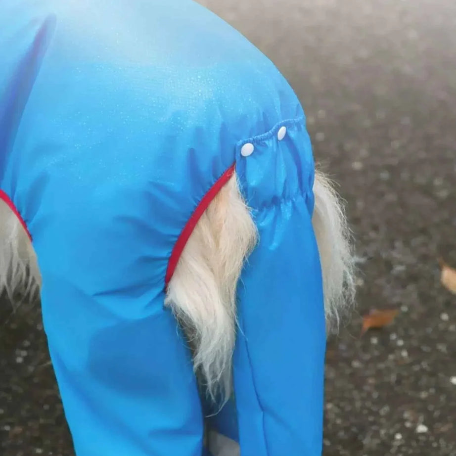 Waterproof Dog Raincoat - Dinosaur Style with Hood