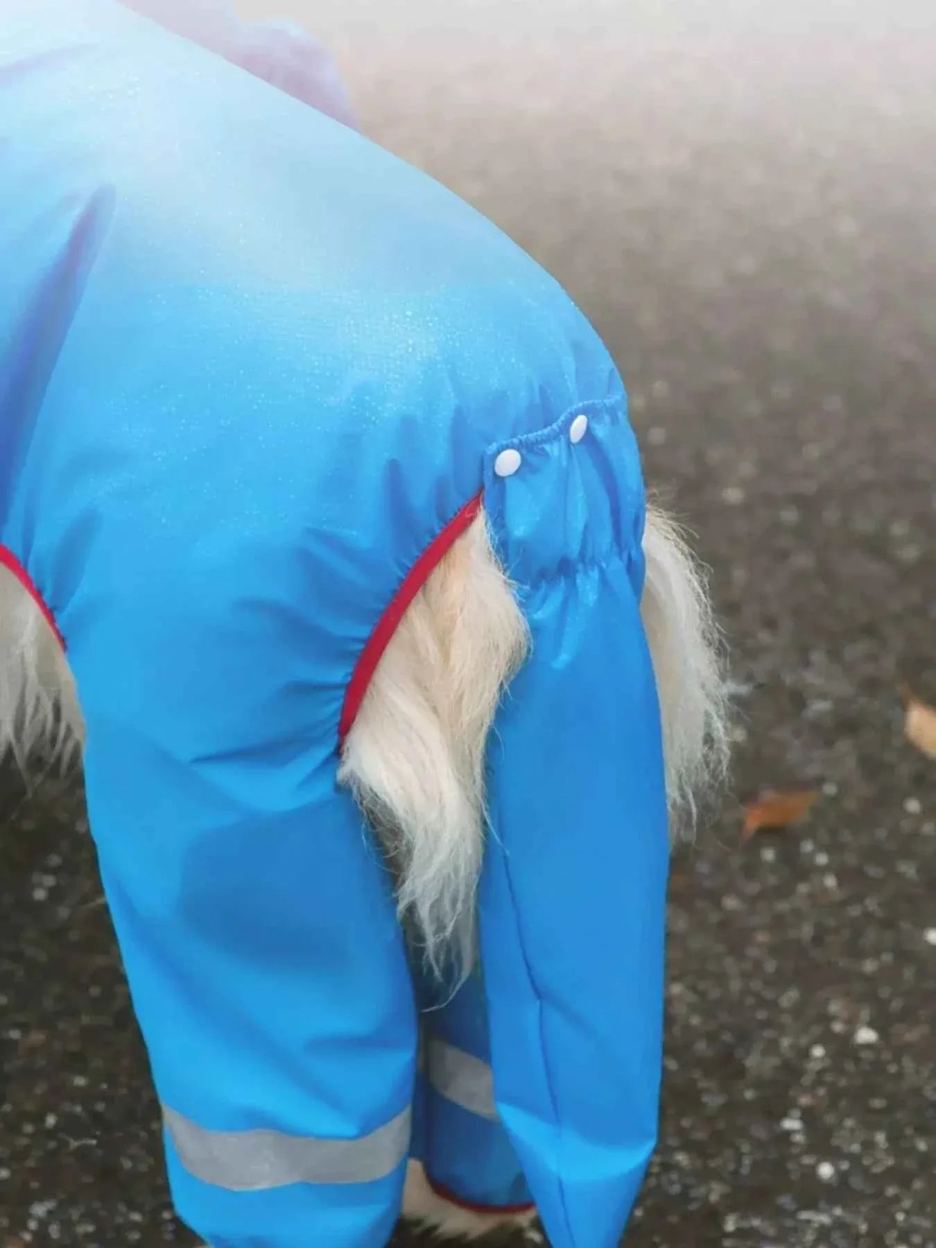 Waterproof Dog Raincoat - Dinosaur Style with Hood