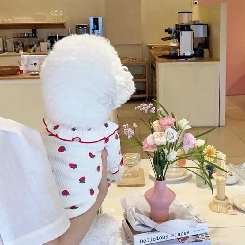 Summer Thin Lace Ruffle Strawberry Pet Cat Dog Clothes