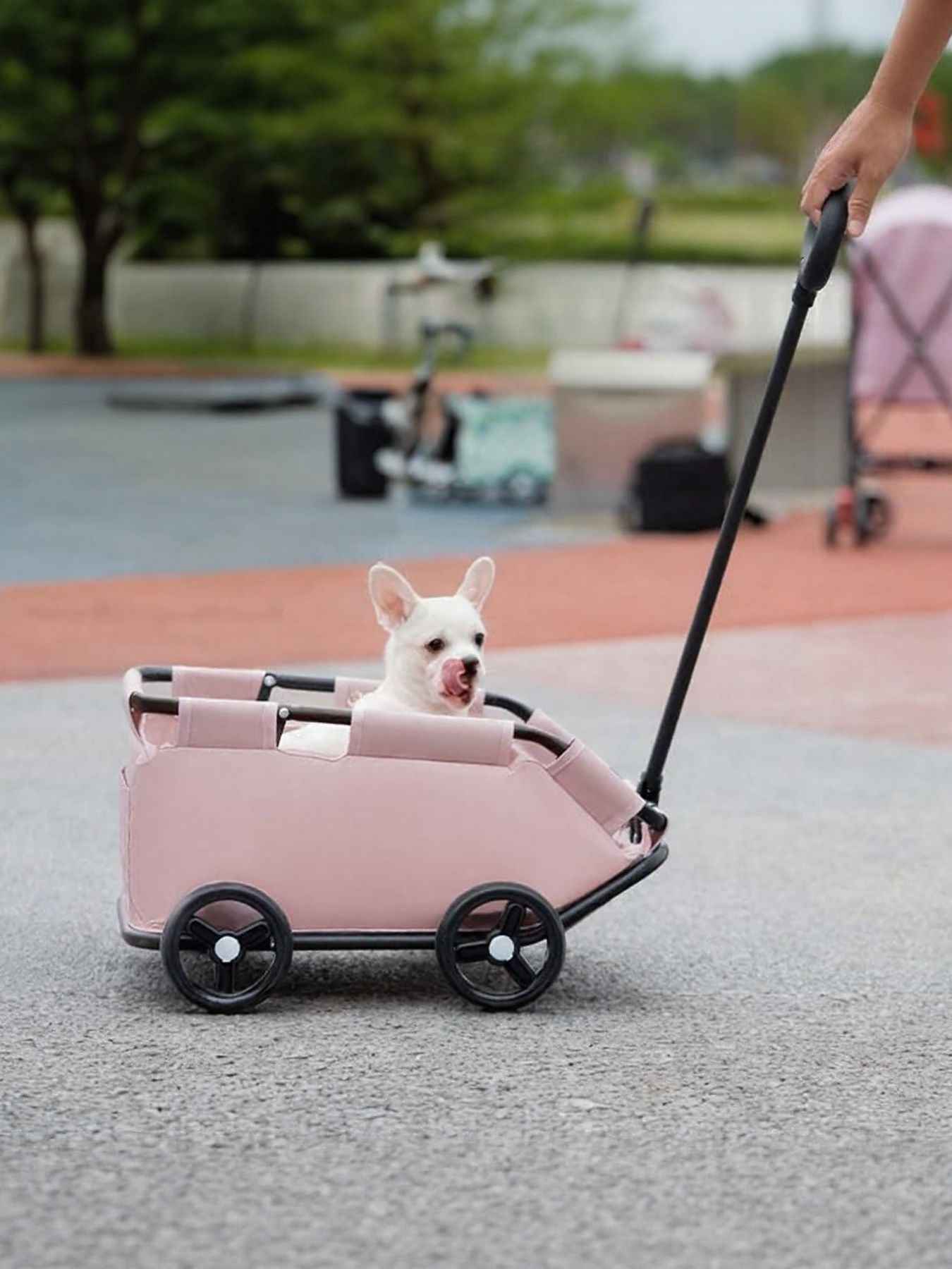 Foldable Pet Stroller Wagon - Portable Collapsible Outdoor Carrier