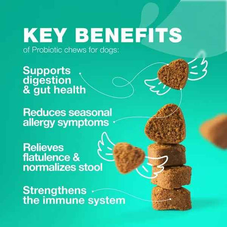 Probiotics For Dogs Gut Health Digestion Immunity Yeast Balance Itchy Skin Allergies Support Dog Probiotic Chews With Digestive Enzymes For Gut Flora Soft Treats With Pumpkin And Yeast Powder