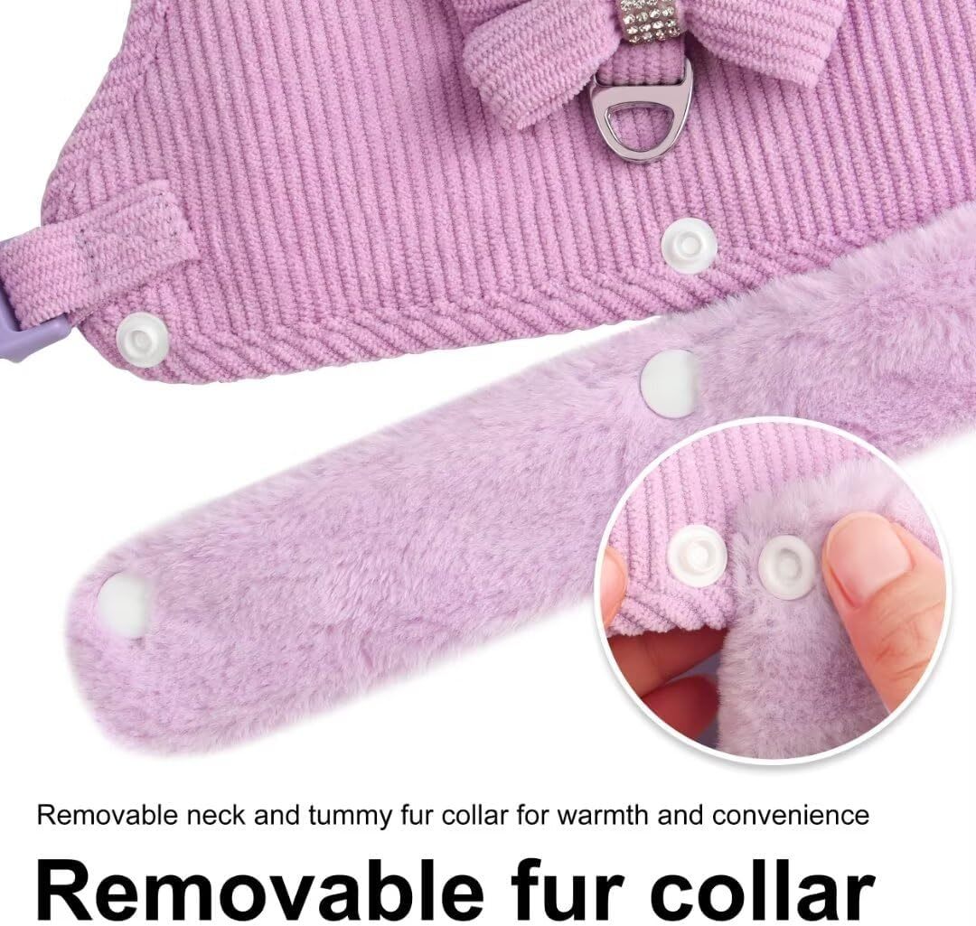 Bow Tie Puppy Harness - Warm Padded Dog Leash Set