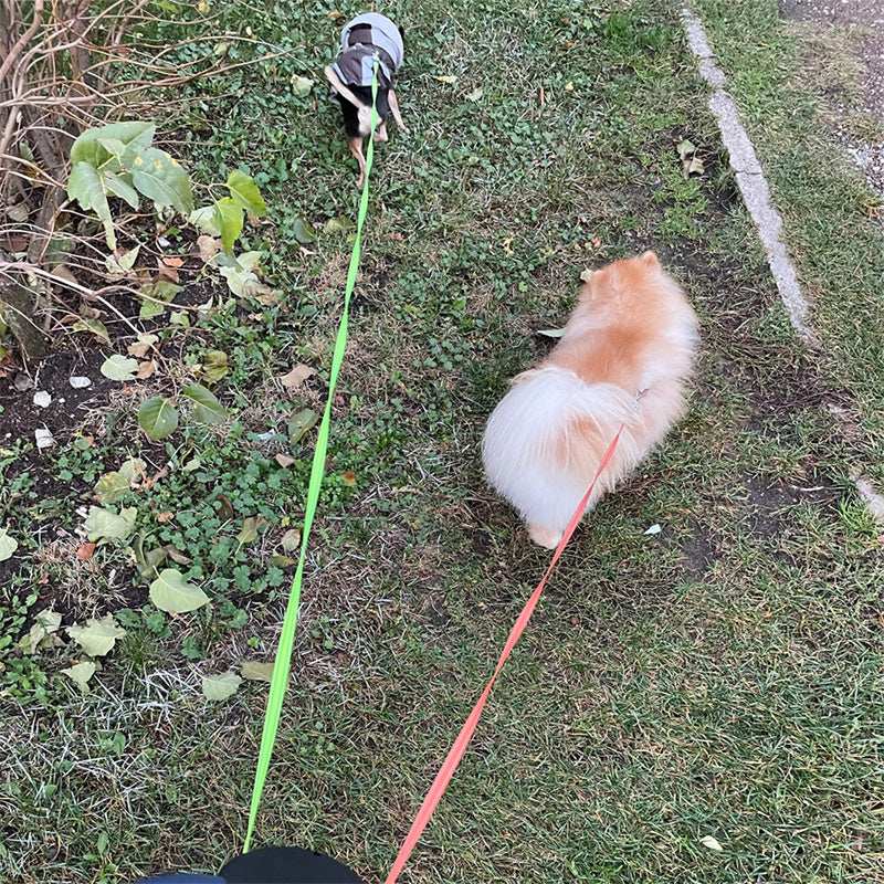 Reflective Swivel Dual Pet Retractable Dog Leash For Small Dogs with Light and Bag Holder