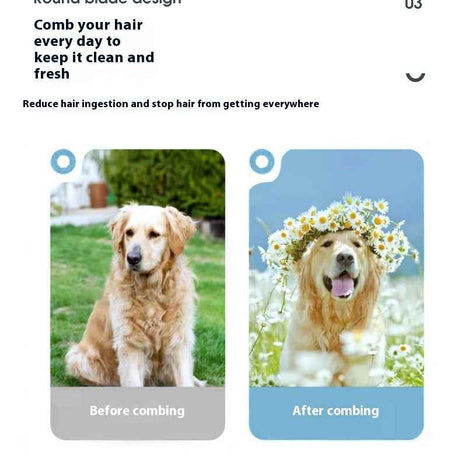Adjustable Pet Grooming Vacuum with Custom Speed Control