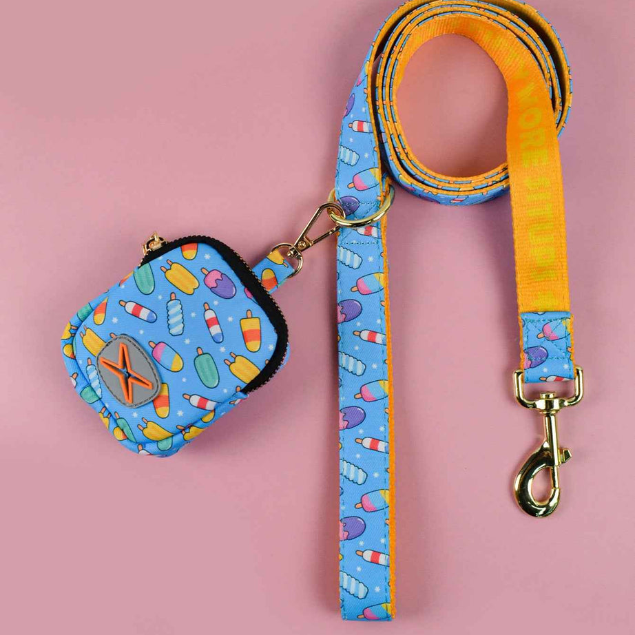 Dog Leash with Poop Bag Holder - Matching Set