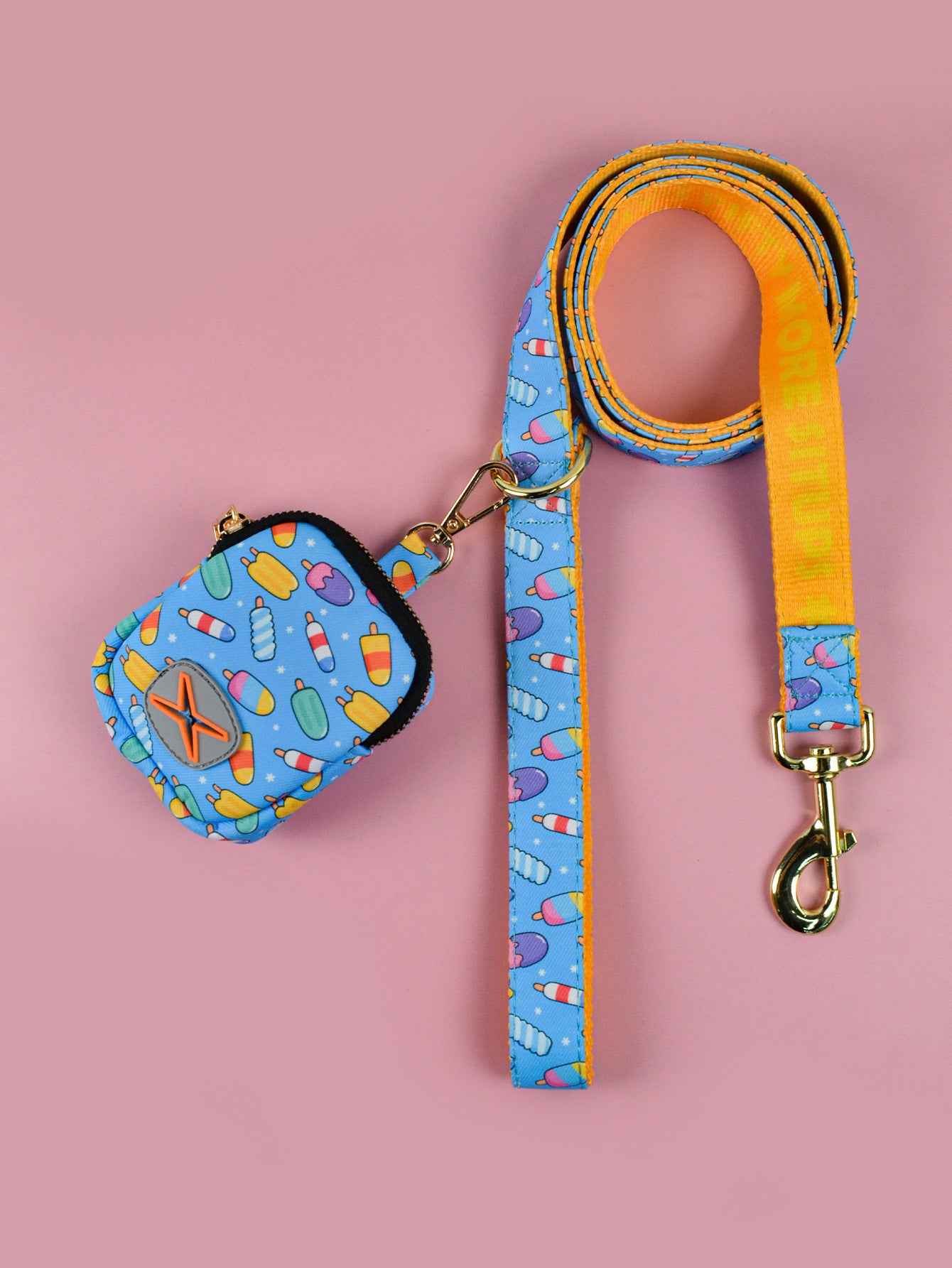 Dog Leash with Poop Bag Holder - Matching Set