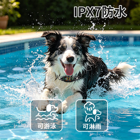 Anti-Bark Dog Collar - AI Automatic Intelligent