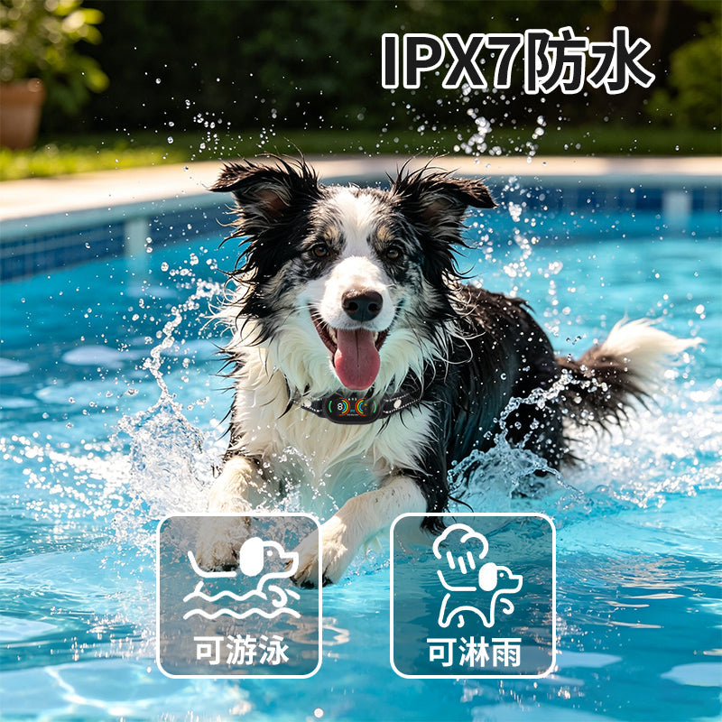 Anti-Bark Dog Collar - AI Automatic Intelligent