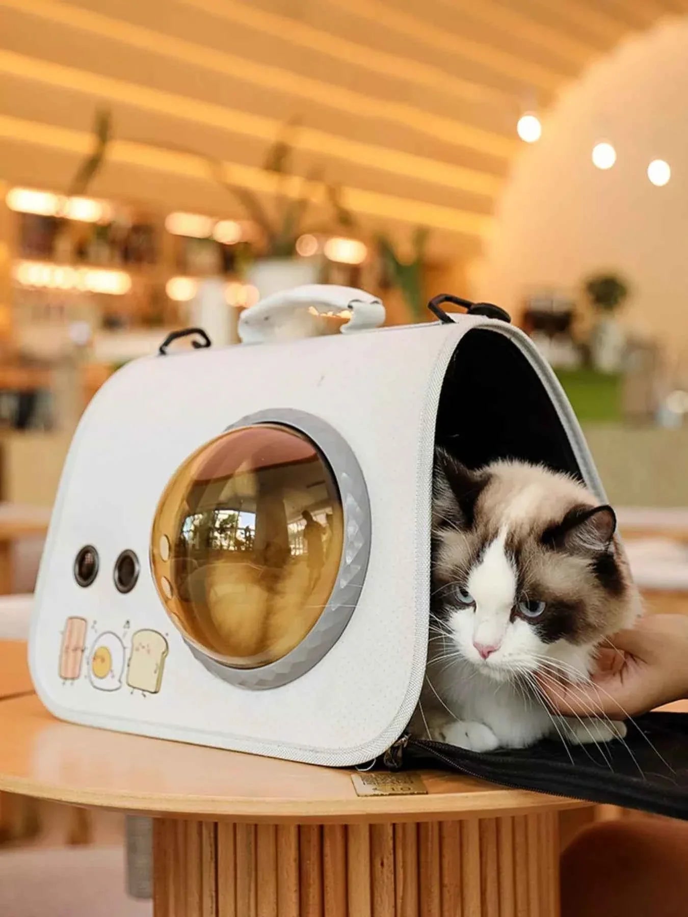 Pet Carrier Bag - Portable Bubble Window