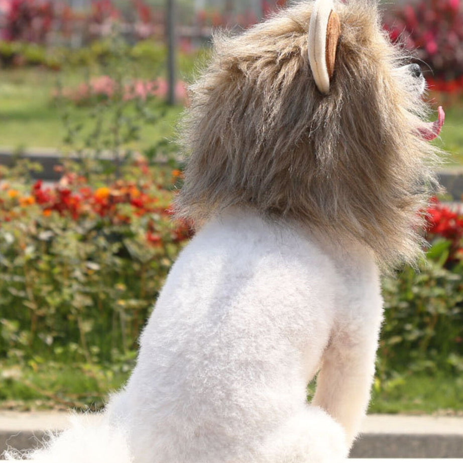 Pet Lion Mane Hat - Funny Costume Headwear for Cats and Dogs
