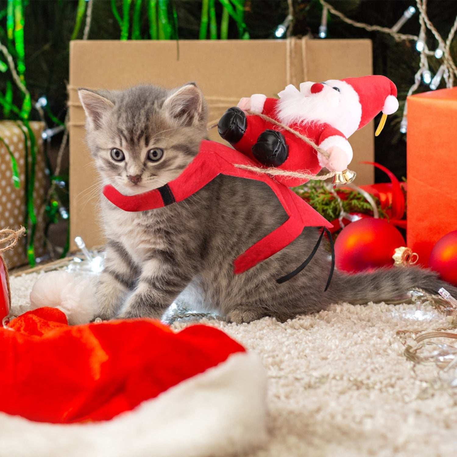 Christmas Santa Pet Outfit - Riding Style with Bell