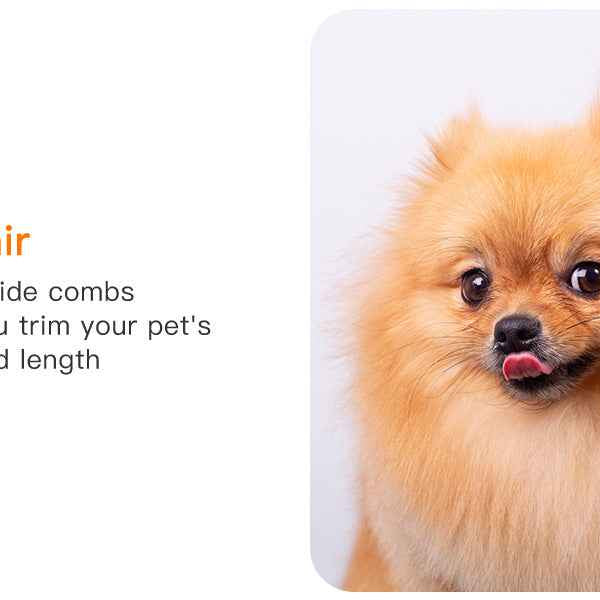 Powerful Pet Grooming Vacuum for Multi-Pet Homes - Large Capacity