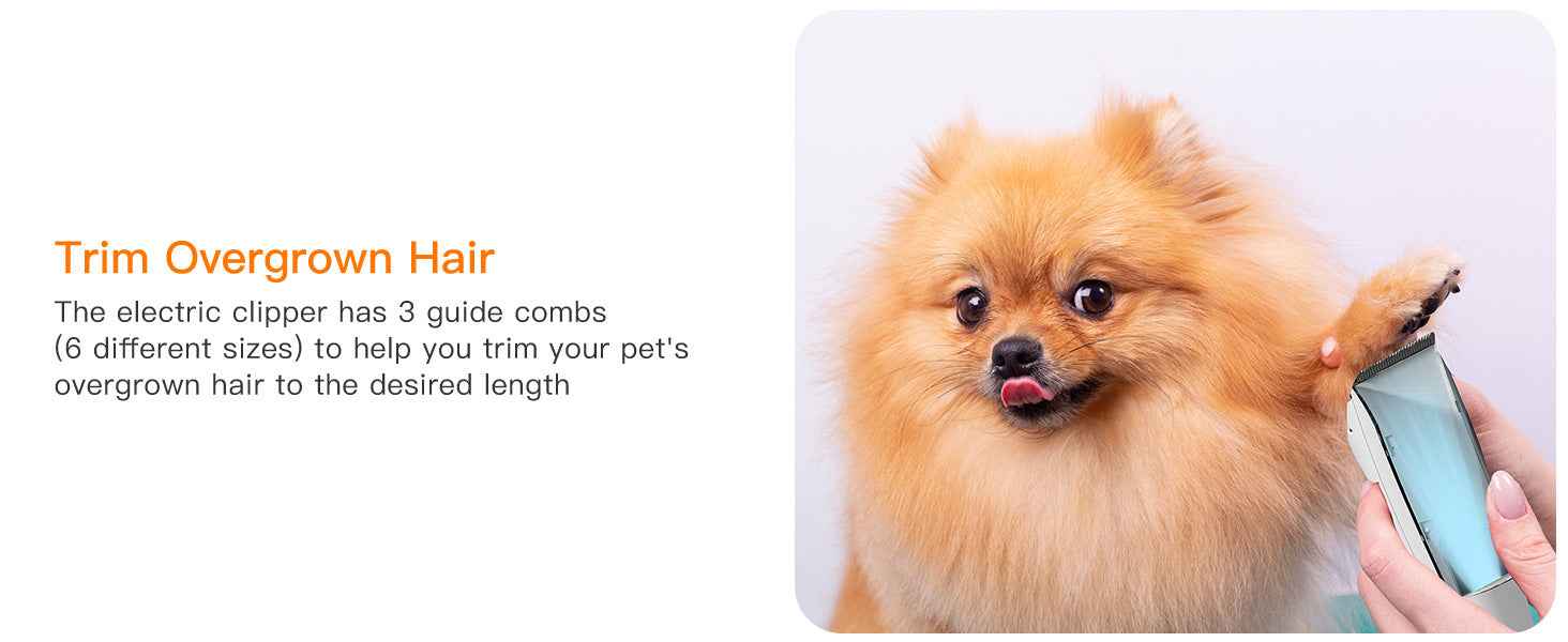 Powerful Pet Grooming Vacuum for Multi-Pet Homes - Large Capacity