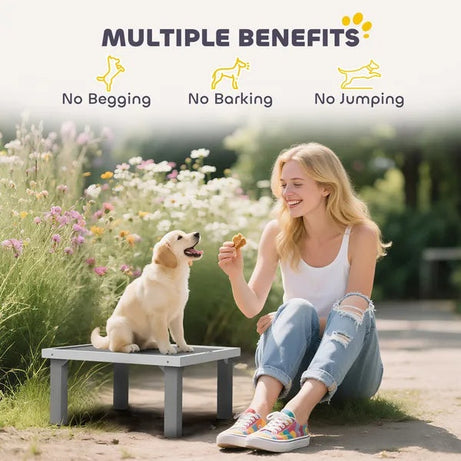 Agility Platform Pro - Wooden Dog Training Board