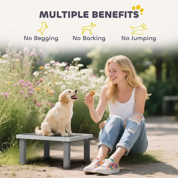 Agility Platform Pro - Wooden Dog Training Board
