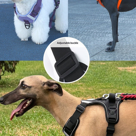 Adjustable Dog Harness - Large Chest Style with Leash